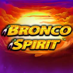 Bronco spirit